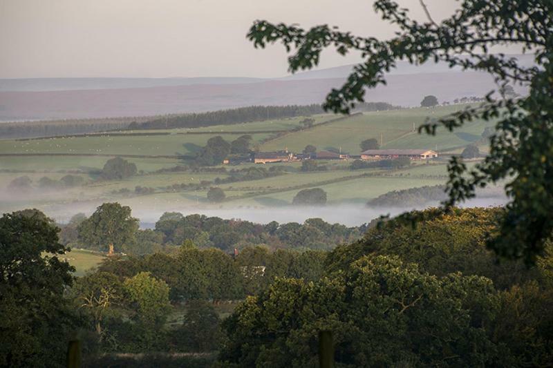 Bessiestown Country Guesthouse Carlisle  Luaran gambar